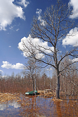 포토 JPG 해외이미지 나무 계절 도로 호수 잎 자연 탁자 하늘 항해 풍경 사람없음 물 여름 파란색 강 노란색 평화 우주 환경 힘 침묵 봄 가을 시골 보트 고독 숲 그늘 모닥불 허브 러시아 낚시꾼 고무 내추럴 해외202004 해외포토 자연요소 식물 감정 유럽 길 컬러 가구 컨셉 배_교통 교통시설 불 소리 생태계 파일형식 이미지허브