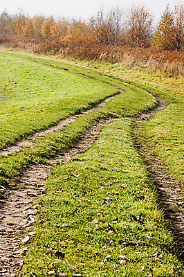 포토 JPG 해외이미지 길 잎 사람없음 초록색 햇빛 운전 젖음 안개 가을 오르막 뿌연 해외202004 해외포토 식물 계절 컬러 모션 날씨 태양 파일형식 이미지허브