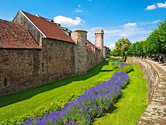 포토 JPG 해외이미지 하늘 사람없음 파란색 탑 프랑스 시골 반지 중세 중앙 라벤더 옛날 해외202004 해외포토 건축물 꽃 유럽 컬러 장신구 역사 허브 파일형식 이미지허브