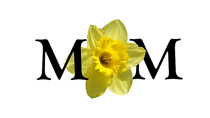 포토 JPG 해외이미지 디자인 꽃잎 꽃 행복 텍스트 엄마 휴가 사랑 미술 사람없음 단어 노란색 꼬리표 라벨 봄 벚꽃 흰색 기록 인사 신선 우아함 편지 심볼 사인 수선화 내추럴 해외202004 해외포토 식물 문자 계절 감정 컬러 컨셉 가족 문화예술 프레임 예절 파일형식 이미지허브