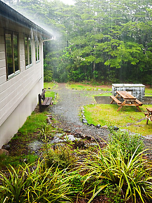 포토 JPG 해외이미지 계절 잎 자연 날씨 사람없음 야외 초록색 물 여름 소풍 환경 경기장 캠핑 젖음 촉촉함 황무지 바비큐 땅 빗방울 캠핑장 뉴질랜드 지역 폭풍 무거움 스플래쉬 해외202004 해외포토 자연요소 식물 음식 컬러 스포츠시설 레저 야외활동 비_날씨 오세아니아 무게 생태계 파일형식 이미지허브