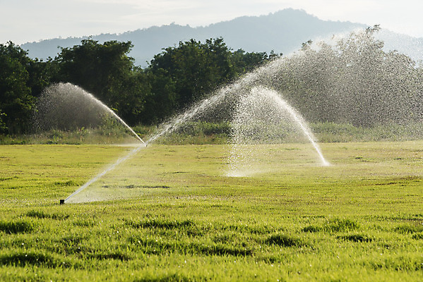 포토 JPG 해외이미지 자연 잔디 사람없음 야외 초록색 물 정원 장비 젖음 성장 신선 떨어짐 뿌리기 물주기 원예 분무기 시스템 유지 샤워실 스프링쿨러 해외202004 해외포토 자연요소 식물 컬러 컨셉 모션 취미 생태계 샤워시설 파일형식 이미지허브