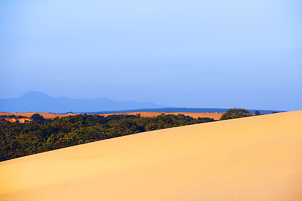 포토 JPG 해외이미지 식물 구름 아시아 모래 여행 백그라운드 오렌지 자연 하늘 건조 이집트 풍경 사람없음 야외 가로 초록색 파란색 노란색 사막 황무지 황금 모래언덕 질감 베트남 먼지 모로코 사하라 오아시스 수평선 해외202004 해외포토 자연요소 나라 컬러 과일 아프리카 동남아시아 언덕 생태계 파일형식 이미지허브