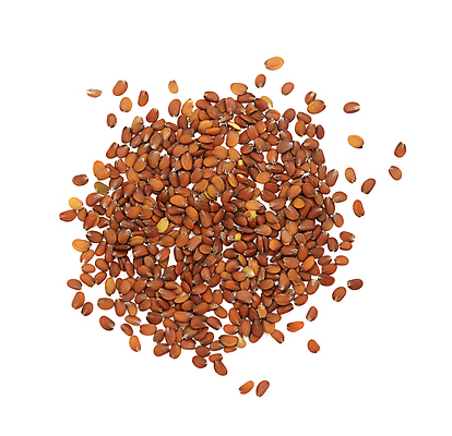 포토 JPG 해외이미지 식물 꽃 자연 씨앗 사람없음 흰배경 고립 해외202004 해외포토 백그라운드 흰색 생태계 파일형식 이미지허브