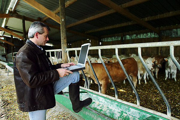 포토 JPG 해외이미지 유럽 산업 중년 지붕 휴식 부츠 육류 한명 옆모습 초록색 노트북 울타리 달리기 농장 금속 재킷 소고기 흰색 소 건초더미 볏짚 결과 군중 가죽 목공예 적갈색 해외202004 해외포토 1 나라 뷰포인트 컬러 신발 컨셉 농업 식재료 포유류 모션 재질 사람 성인 전자제품 담장 갈색 외투 건초 짚 공예 파일형식 더미 이미지허브