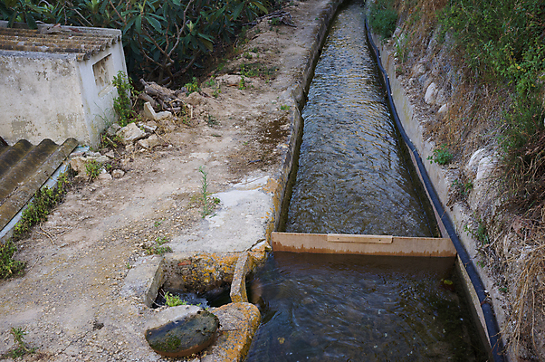 포토 JPG 해외이미지 나무 전통 밭 농업 사람없음 물 농장 흐름 시골 스페인 숲 물주기 운하 배수구 알리칸테 옛날 해외202004 해외포토 자연요소 식물 유럽 산업 컨셉 모션 파일형식 이미지허브
