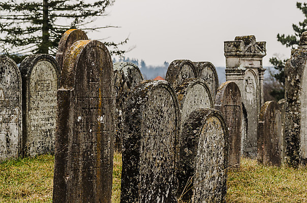 포토 JPG 해외이미지 꽃 기독교 종교 지구 백그라운드 십자가 부활절 사람없음 목재 조각상 검은색 성경 바위 기도 죽음 예수 영혼 목사 심볼 애도 신성 땅파기 신앙심 옛날 장례식 오싹 해외202004 해외포토 나무 식물 기념일 컬러 재료 종교용품 조형물 신_종교 성직자 파일형식 이미지허브