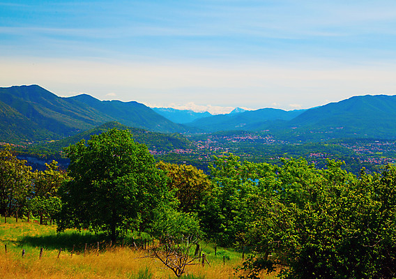 포토 JPG 해외이미지 나무 식물 디자인 계절 공원 실루엣 백그라운드 잎 자연 조류 하늘 추상 새로움 풍경 사람없음 목재 그래픽 빨간색 초록색 여름 갈색 우주 정원 검은색 봄 성장 가을 흰색 나뭇가지 달콤 숲 심볼 오브젝트 사인 싱글 그림 유기농 내추럴 옛날 해외202004 해외포토 동물 웰빙 공공시설 컬러 컨셉 무늬 재료 촬영기법 맛 생태계 파일형식 이미지허브