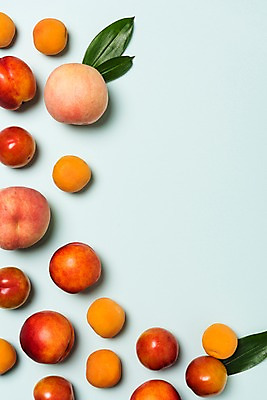 포토 JPG 나뭇잎 프레임 사람없음 하이앵글 여러개 자두 살구 제철 천도복숭아 플랫레이 제철과일 국내포토 뷰포인트 다수 잎 과일 플랫 복숭아 파일형식