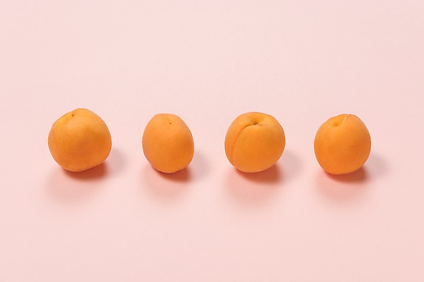 포토 JPG 사람없음 여러개 일렬 살구 국내포토 다수 과일 파일형식