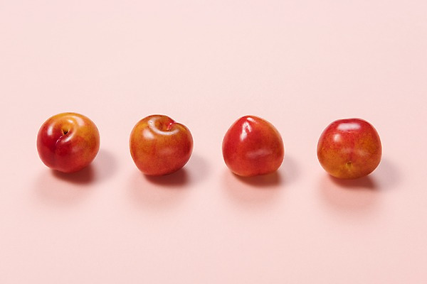 포토 JPG 과일 사람없음 여러개 일렬 자두 국내포토 다수 파일형식