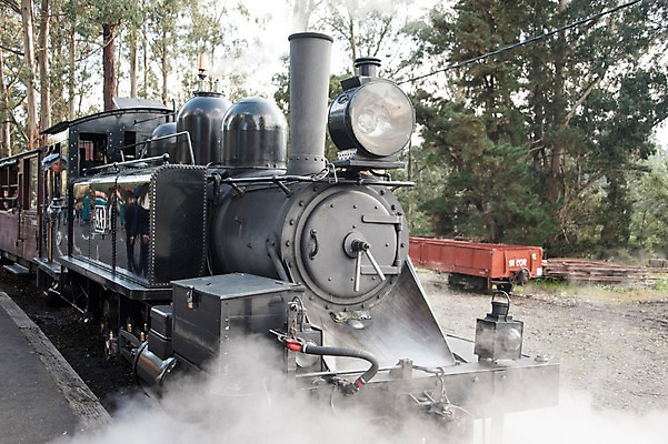 포토 JPG 주간 해외풍경 해외 남자 한명 풍경 성인 야외 연기 호주 증기기관차 국내포토 자연요소 1 사람 기차 오세아니아 파일형식