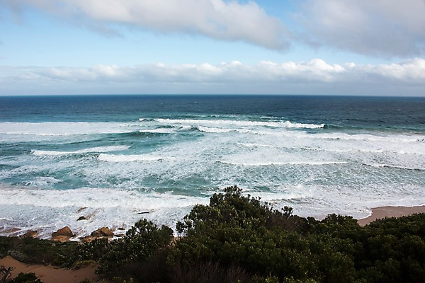 포토 JPG 주간 나무 구름 해외풍경 해외 바다 하늘 풍경 사람없음 야외 호주 국내포토 자연요소 식물 오세아니아 파일형식