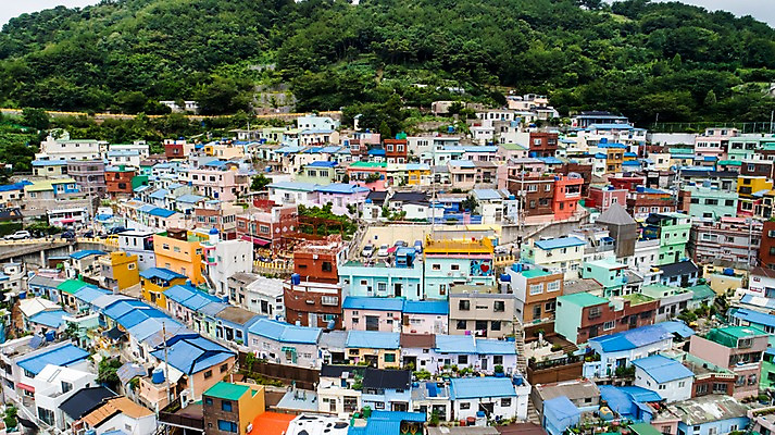 포토 JPG 주간 나무 사진 지붕 주택 한국 풍경 사람없음 야외 하이앵글 컬러풀 마을 부산 홈 항공촬영 오색 감천문화마을 알록달록 국내포토 자연요소 식물 아시아 뷰포인트 컬러 건물 파일형식