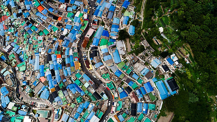 포토 JPG 주간 나무 사진 지붕 주택 한국 풍경 사람없음 야외 하이앵글 컬러풀 마을 부산 홈 항공촬영 오색 감천문화마을 알록달록 국내포토 자연요소 식물 아시아 뷰포인트 컬러 건물 파일형식
