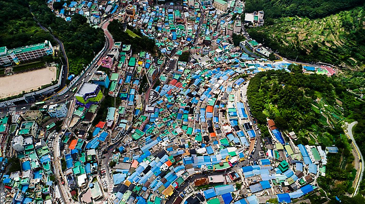 포토 JPG 주간 나무 사진 지붕 주택 한국 풍경 사람없음 야외 하이앵글 컬러풀 마을 부산 홈 항공촬영 오색 감천문화마을 알록달록 국내포토 자연요소 식물 아시아 뷰포인트 컬러 건물 파일형식