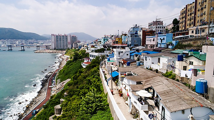 포토 JPG 주간 나무 사진 한국 풍경 빌딩 사람없음 야외 건물 하이앵글 마을 부산 항공촬영 가교 영도 흰여울문화마을 국내포토 자연요소 식물 건축물 아시아 뷰포인트 파일형식