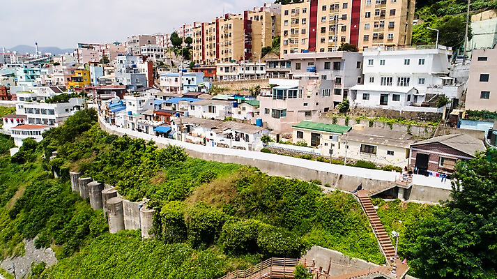 포토 JPG 주간 나무 사진 한국 풍경 빌딩 사람없음 야외 건물 하이앵글 마을 부산 항공촬영 영도 흰여울문화마을 국내포토 자연요소 식물 건축물 아시아 뷰포인트 파일형식