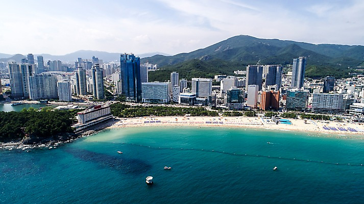 포토 JPG 주간 나무 바다 사진 한국 풍경 빌딩 해변 사람없음 야외 건물 하이앵글 맑음 해수욕장 부산 항공촬영 해운대 국내포토 자연요소 식물 건축물 아시아 뷰포인트 날씨 파일형식