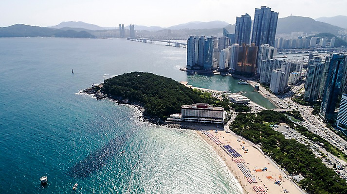 포토 JPG 주간 나무 바다 사진 한국 풍경 빌딩 사람없음 야외 건물 하이앵글 부산 항공촬영 해운대 해운대해수욕장 국내포토 자연요소 식물 건축물 아시아 뷰포인트 해수욕장 파일형식