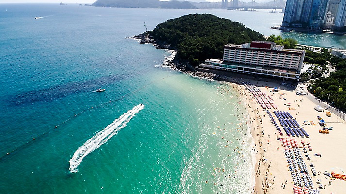 포토 JPG 주간 나무 바다 사진 한국 풍경 빌딩 해변 사람없음 야외 건물 하이앵글 맑음 해수욕장 부산 항공촬영 해운대 해운대해수욕장 국내포토 자연요소 식물 건축물 아시아 뷰포인트 날씨 파일형식