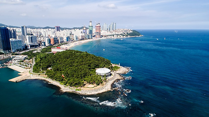 포토 JPG 주간 나무 바다 사진 한국 풍경 빌딩 사람없음 야외 건물 하이앵글 맑음 부산 항공촬영 해운대 국내포토 자연요소 식물 건축물 아시아 뷰포인트 날씨 파일형식