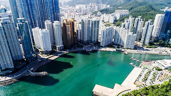 포토 JPG 주간 나무 바다 사진 산 한국 풍경 사람없음 야외 건물 하이앵글 부산 항공촬영 해운대 국내포토 자연요소 식물 건축물 아시아 뷰포인트 파일형식