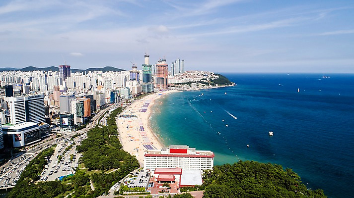 포토 JPG 주간 나무 바다 사진 한국 풍경 빌딩 사람없음 야외 건물 하이앵글 맑음 부산 항공촬영 해운대 해운대해수욕장 국내포토 자연요소 식물 건축물 아시아 뷰포인트 날씨 해수욕장 파일형식