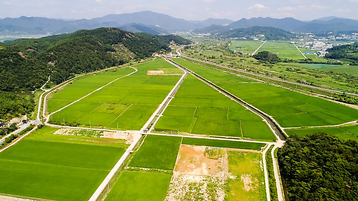포토 JPG 주간 사진 산 한국 논 풍경 사람없음 야외 하이앵글 마을 부산 항공촬영 김해 봉하마을 국내포토 자연요소 아시아 뷰포인트 농업 경상남도 파일형식