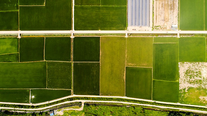 포토 JPG 주간 사진 한국 논 풍경 사람없음 야외 하이앵글 부산 항공촬영 김해 봉하마을 국내포토 자연요소 아시아 뷰포인트 농업 마을 경상남도 파일형식