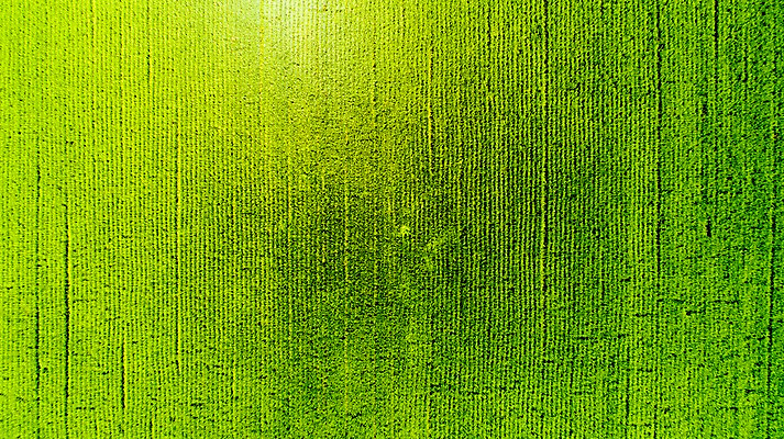 포토 JPG 주간 사진 한국 논 풍경 사람없음 야외 하이앵글 부산 항공촬영 김해 봉하마을 국내포토 자연요소 아시아 뷰포인트 농업 마을 경상남도 파일형식