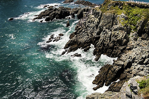포토 JPG 주간 물결 파도 바다 섬 사진 한국 풍경 사람없음 야외 맑음 바위 웨이브 파동 부산 오륙도 국내포토 자연요소 아시아 날씨 순간포착 돌_바위 파일형식