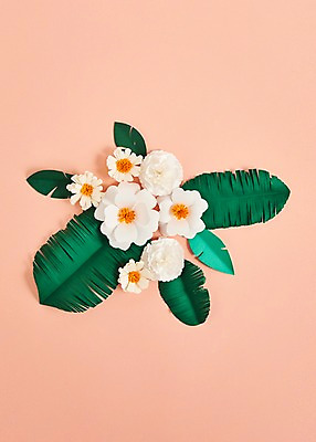 포토 JPG 스튜디오촬영 꽃 종이 잎 사진 나뭇잎 실내 사람없음 흰색 보자기 페이퍼아트 종이공예 스타티스 국내포토 식물 컬러 내부 공예 파일형식 천_직물