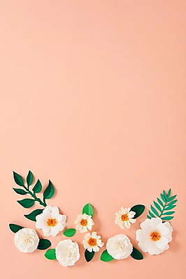 포토 JPG 스튜디오촬영 꽃 종이 잎 사진 나뭇잎 프레임 실내 사람없음 흰색 보자기 페이퍼아트 종이공예 스타티스 국내포토 식물 컬러 내부 공예 파일형식 천_직물