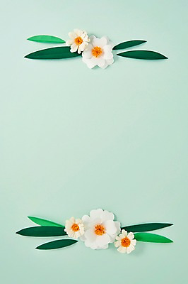 포토 JPG 스튜디오촬영 꽃 종이 잎 사진 나뭇잎 프레임 실내 사람없음 흰색 보자기 페이퍼아트 종이공예 스타티스 국내포토 식물 컬러 내부 공예 파일형식 천_직물