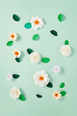 포토 JPG 스튜디오촬영 꽃 종이 잎 사진 나뭇잎 실내 사람없음 흰색 보자기 페이퍼아트 종이공예 스타티스 국내포토 식물 컬러 내부 공예 파일형식 천_직물