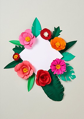 포토 JPG 스튜디오촬영 꽃 종이 잎 사진 나뭇잎 프레임 실내 사람없음 장미 보자기 페이퍼아트 카네이션 종이공예 코스모스 스타티스 국내포토 식물 내부 공예 파일형식 천_직물