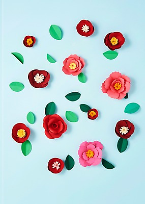 포토 JPG 스튜디오촬영 꽃 종이 잎 사진 나뭇잎 실내 사람없음 장미 보자기 페이퍼아트 종이공예 코스모스 동백 국내포토 식물 내부 공예 파일형식 천_직물