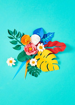 포토 JPG 스튜디오촬영 꽃 종이 잎 사진 나뭇잎 실내 사람없음 보자기 페이퍼아트 종이공예 스타티스 국내포토 식물 내부 공예 파일형식 천_직물