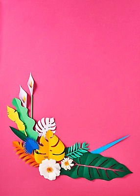 포토 JPG 스튜디오촬영 꽃 종이 잎 사진 나뭇잎 프레임 실내 사람없음 컬러풀 보자기 페이퍼아트 종이공예 스타티스 국내포토 식물 컬러 내부 공예 파일형식 천_직물