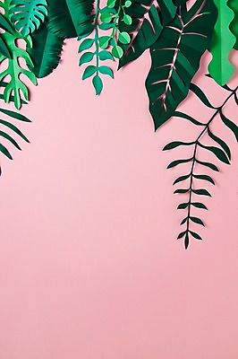 포토 JPG 스튜디오촬영 종이 잎 사진 나뭇잎 프레임 실내 사람없음 보자기 페이퍼아트 종이공예 화선지 국내포토 식물 내부 공예 한지 파일형식 천_직물