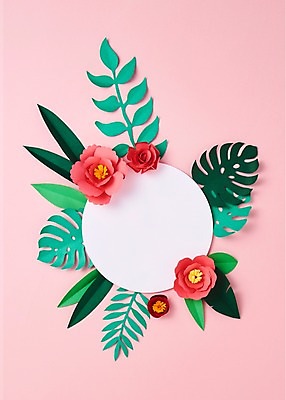 포토 JPG 스튜디오촬영 꽃 종이 잎 사진 나뭇잎 프레임 실내 사람없음 장미 보자기 페이퍼아트 종이공예 동백 국내포토 식물 내부 공예 파일형식 천_직물