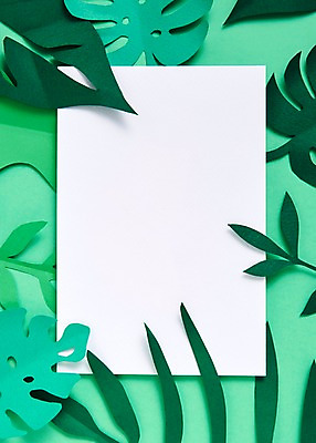 포토 JPG 스튜디오촬영 종이 잎 사진 나뭇잎 프레임 실내 사람없음 보자기 페이퍼아트 종이공예 화선지 국내포토 식물 내부 공예 한지 파일형식 천_직물