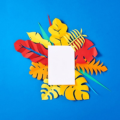 포토 JPG 스튜디오촬영 종이 잎 사진 나뭇잎 프레임 실내 사람없음 컬러풀 보자기 페이퍼아트 종이공예 오색 화선지 알록달록 국내포토 식물 컬러 내부 공예 한지 파일형식 천_직물