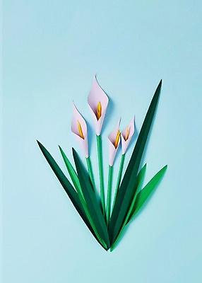 포토 JPG 스튜디오촬영 꽃 종이 잎 사진 나뭇잎 프레임 실내 사람없음 보자기 페이퍼아트 종이공예 스타티스 국내포토 식물 내부 공예 파일형식 천_직물