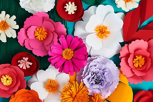 포토 JPG 스튜디오촬영 꽃 종이 사진 실내 근접촬영 사람없음 보자기 페이퍼아트 민들레 카네이션 종이공예 코스모스 동백 국내포토 식물 뷰포인트 내부 공예 파일형식 천_직물