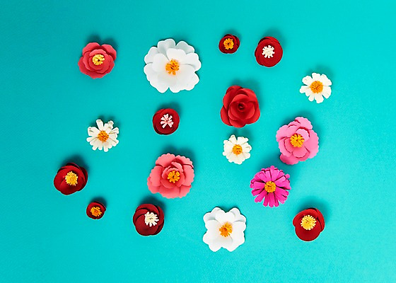 포토 JPG 스튜디오촬영 꽃 종이 사진 실내 사람없음 장미 보자기 페이퍼아트 종이공예 코스모스 동백 국내포토 식물 내부 공예 파일형식 천_직물