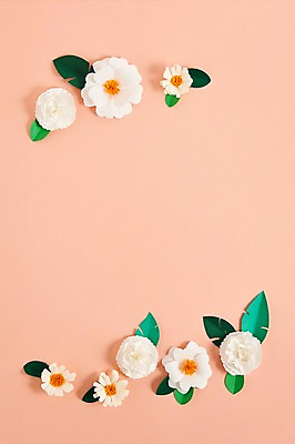 포토 JPG 스튜디오촬영 꽃 종이 잎 사진 나뭇잎 프레임 실내 사람없음 보자기 페이퍼아트 종이공예 스타티스 국내포토 식물 내부 공예 파일형식 천_직물