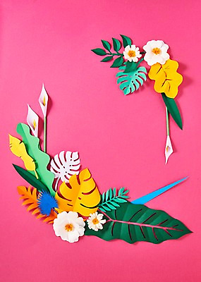 포토 JPG 스튜디오촬영 꽃 종이 잎 사진 나뭇잎 프레임 실내 사람없음 컬러풀 보자기 페이퍼아트 종이공예 스타티스 국내포토 식물 컬러 내부 공예 파일형식 천_직물