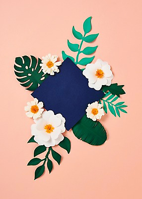 포토 JPG 스튜디오촬영 꽃 종이 잎 사진 나뭇잎 프레임 실내 사람없음 보자기 페이퍼아트 종이공예 스타티스 국내포토 식물 내부 공예 파일형식 천_직물